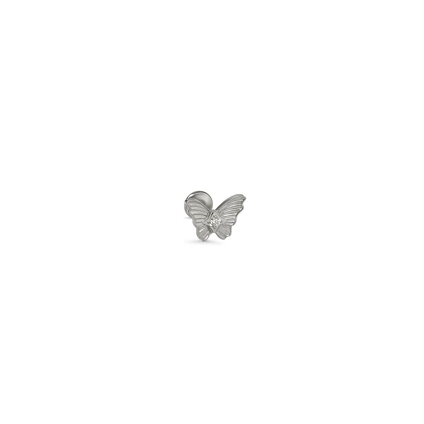 Soft Wings