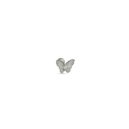 Soft Wings