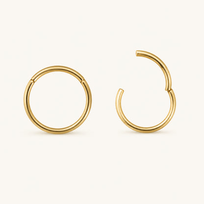 Classic Bold Hoops